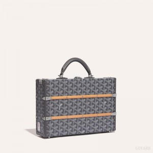 Goyard PALACE MM TRUNK BAG El Çantası Gri | GY-UIH5855
