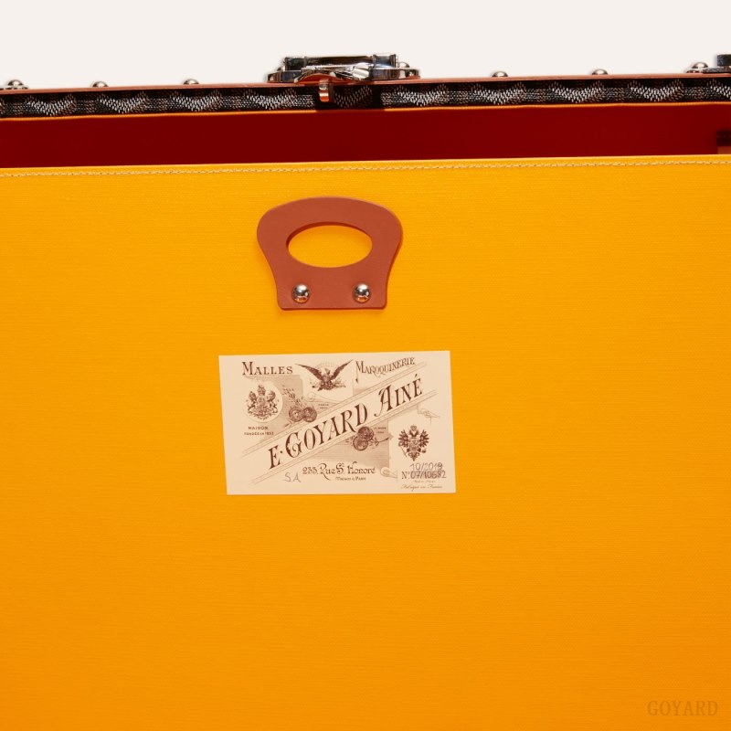 Goyard NICHE TRUNK Valiz Siyah Kahverengi | GY-GRU0174