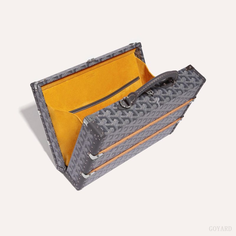 Goyard PALACE MM TRUNK BAG El Çantası Gri | GY-UIH5855