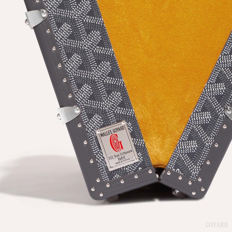 Goyard PALACE MM TRUNK BAG El Çantası Gri | GY-UIH5855