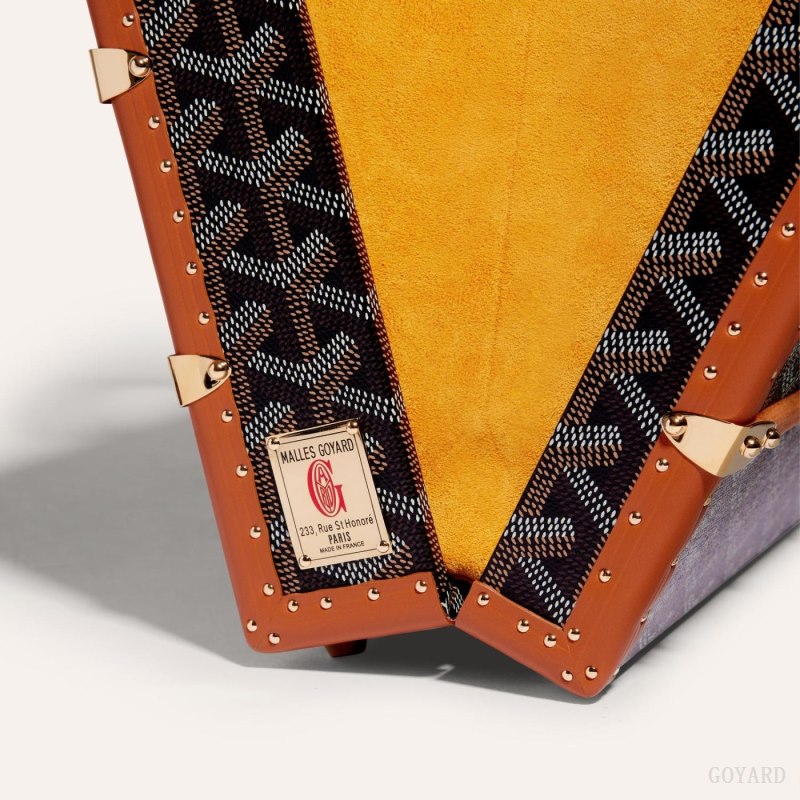 Goyard PALACE MM TRUNK BAG El Çantası Siyah Kahverengi | GY-XNF1368